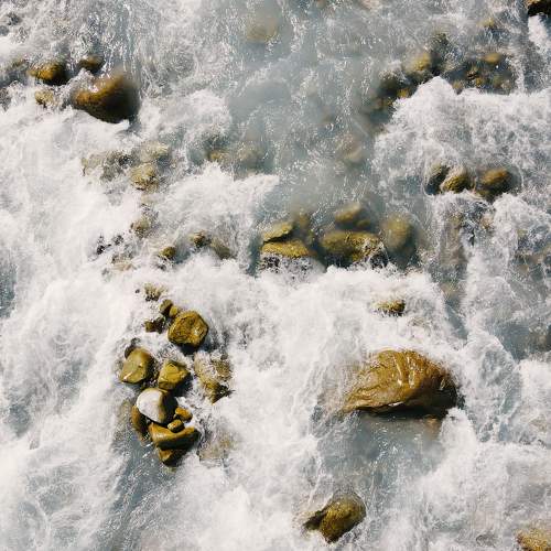 Photo #8060684