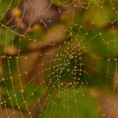 Photo #8060693