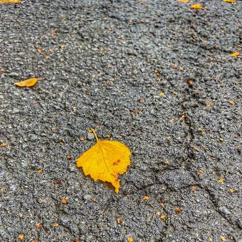 Photo #8060919