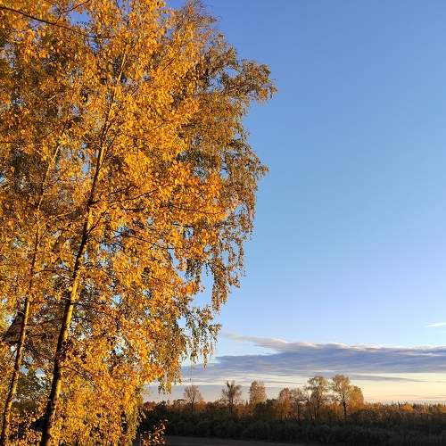 Томь