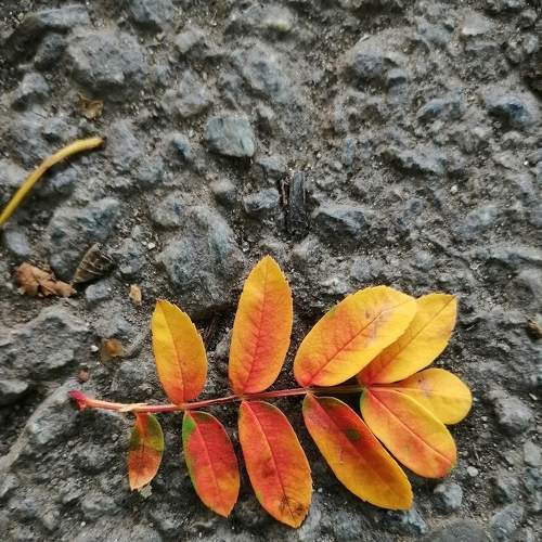 Photo #8061344