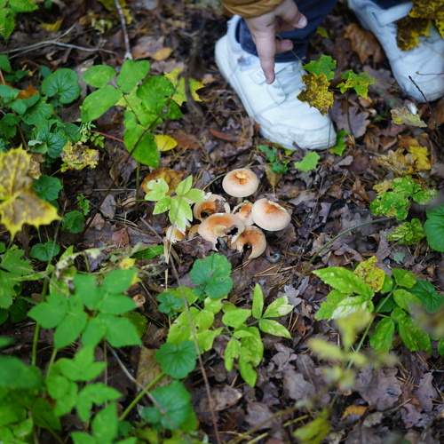 Photo #8061450