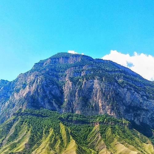Photo #8061490