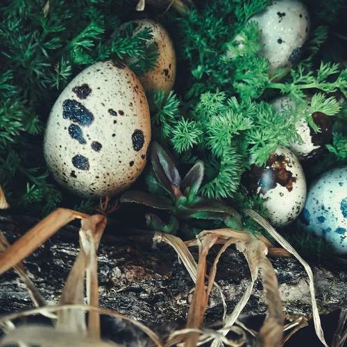 Photo #8061677