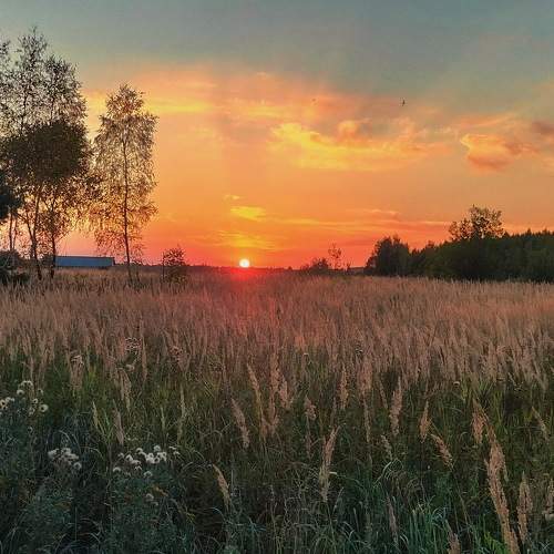 Photo #8061869