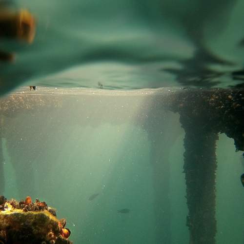 Photo #8061887