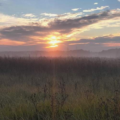Photo #8061901