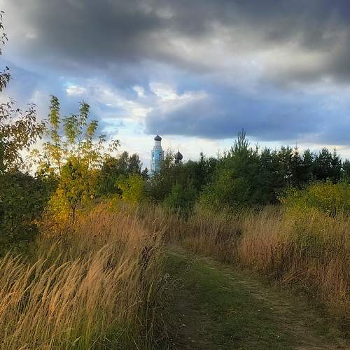 Photo #8061906