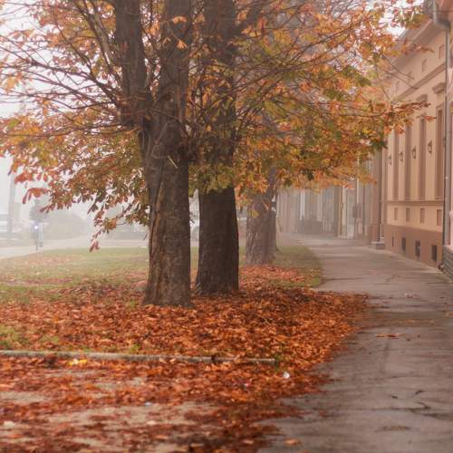 Photo #8061932