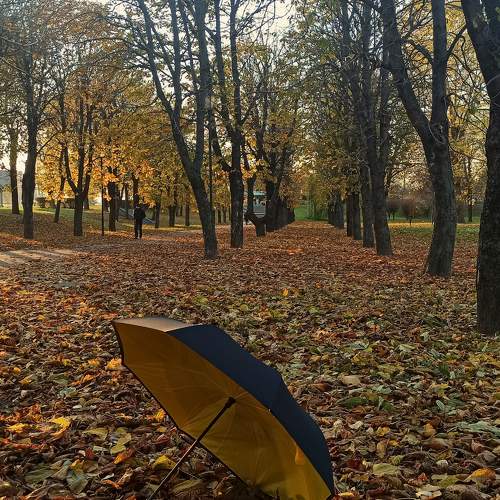 Photo #8062199
