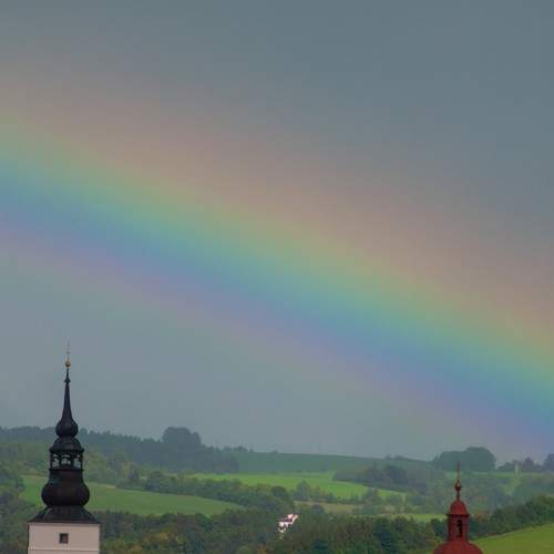 Photo #8062702