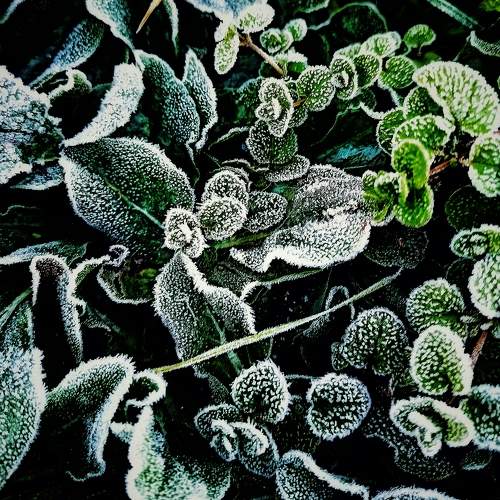 Photo #8063177
