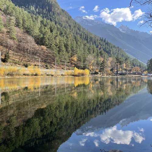 Photo #8063412