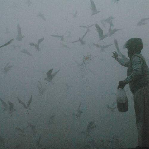 Photo #8063801