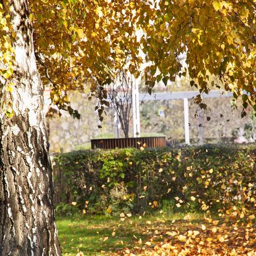 Photo #8063932