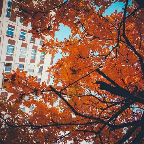Photo #8063964