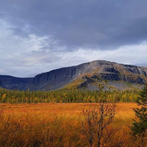 Photo #8063985