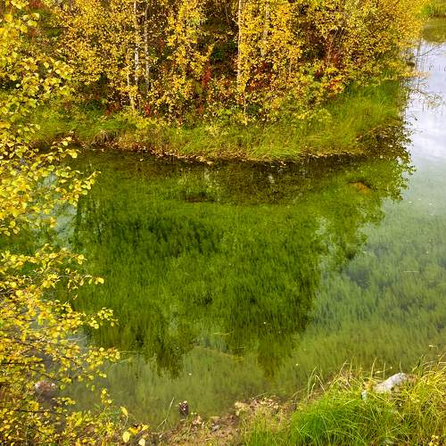Photo #8064198
