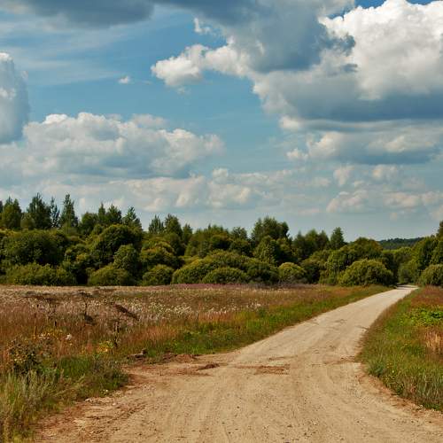 Photo #8064237