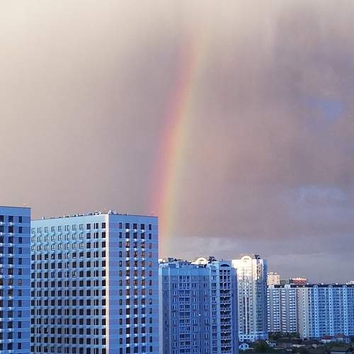 Photo #8064640