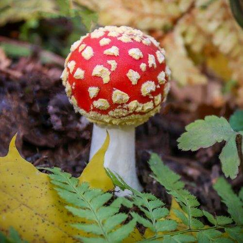 Photo #8065062