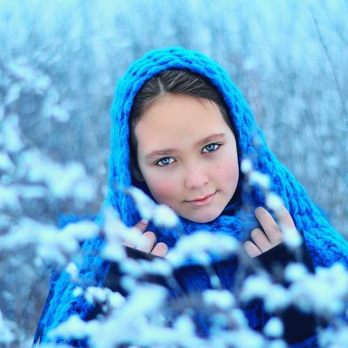 Photo #8065095