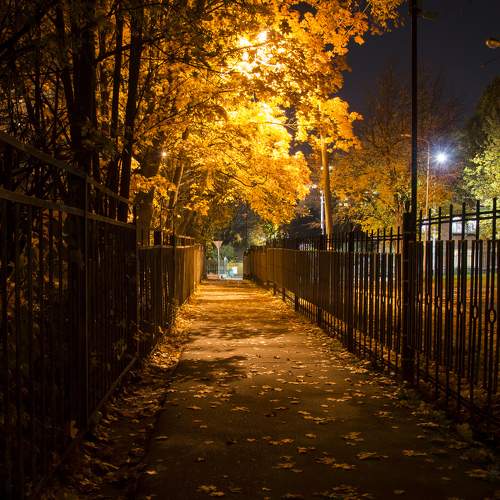 Photo #8065611
