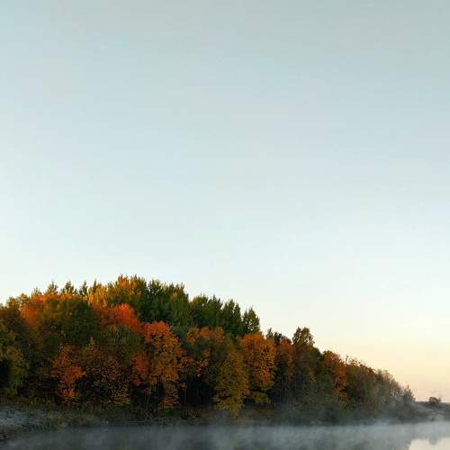 Photo #8065636