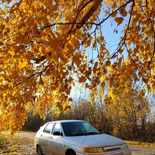 Photo #8065638