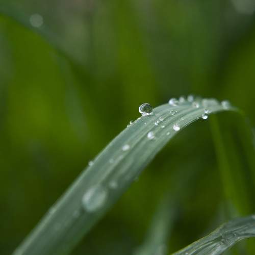 Photo #8065781