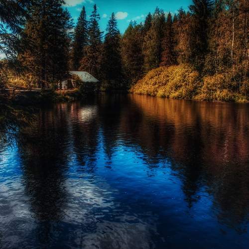 Photo #8066324