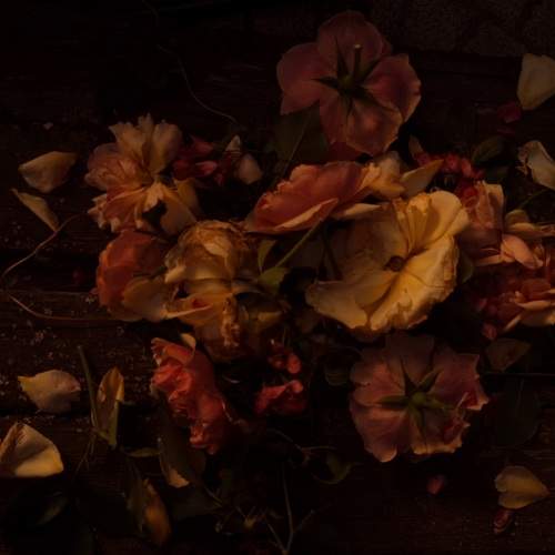 Photo #8066702