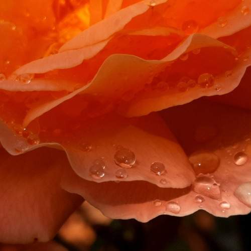 Photo #8066950
