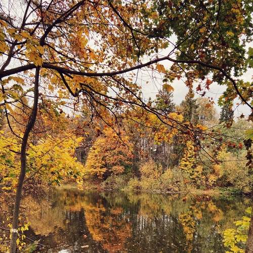Photo #8066989