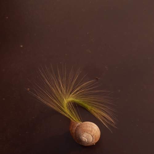 Photo #8067176