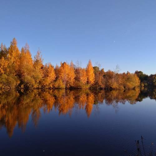 Photo #8067182