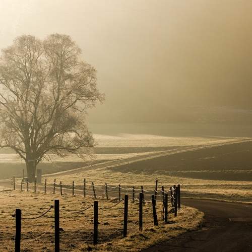 Photo #8067217