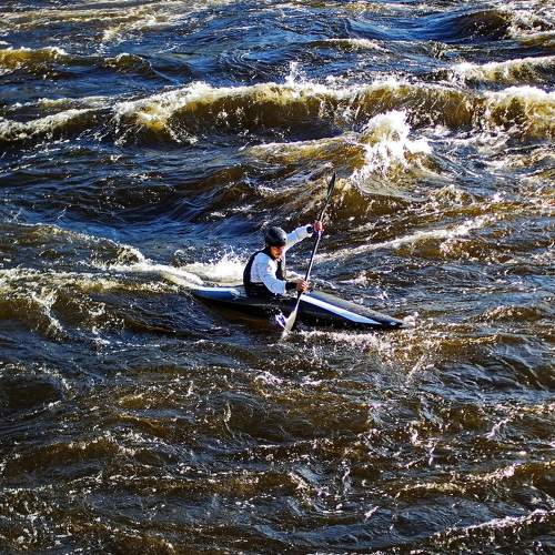 Photo #8067373