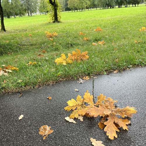 Photo #8068772