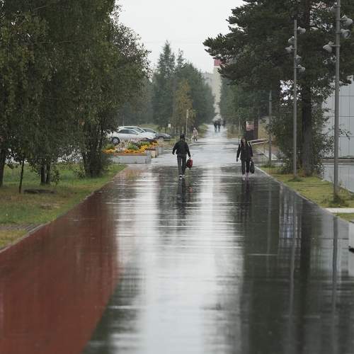 Photo #8068824
