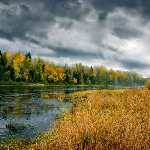 Photo #8069379