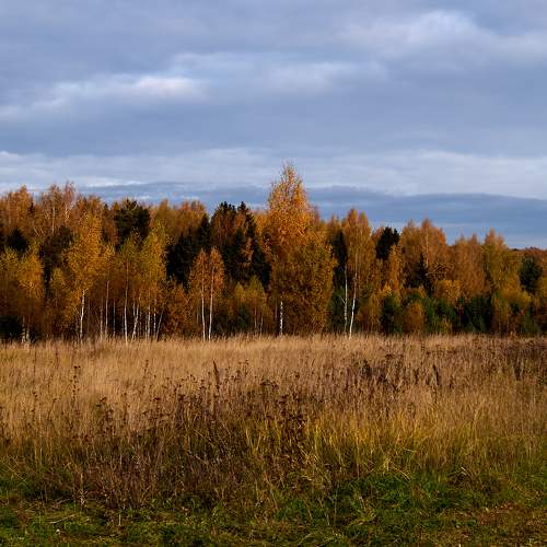 Photo #8069491