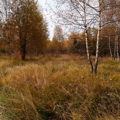 Photo #8069559