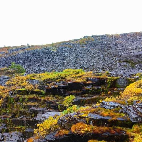Photo #8069868