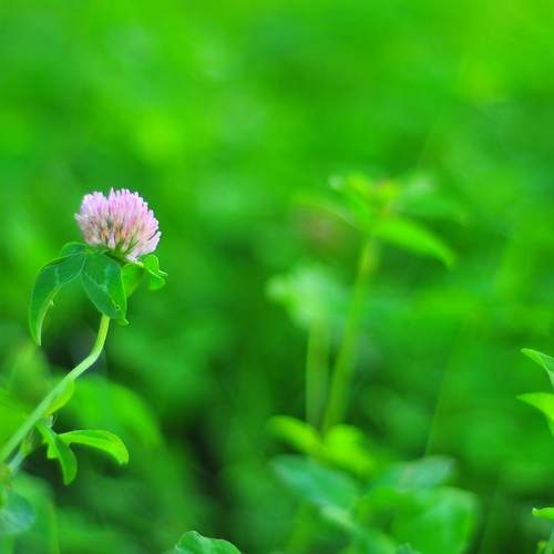 Photo #8069900