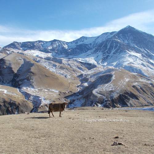 Photo #8070174