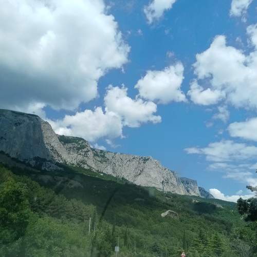 Photo #8070271
