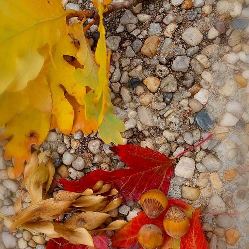Photo #8071202