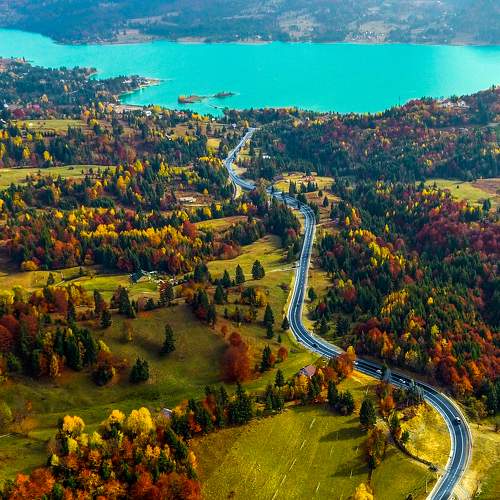 Photo #8071375