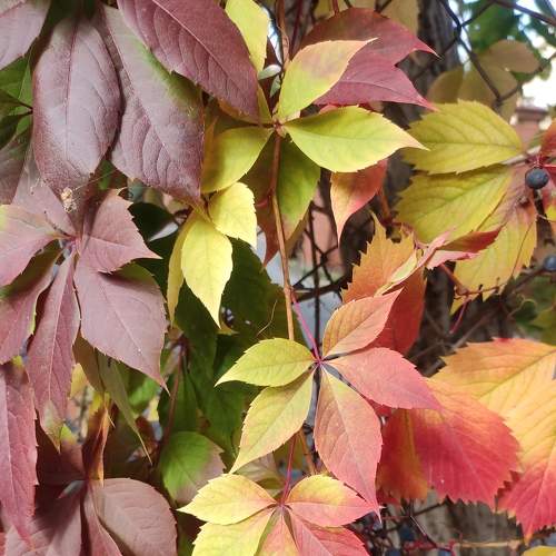 Photo #8071724